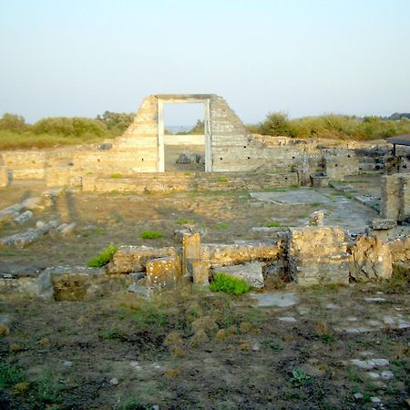 Dionisos Hotel Mytikas  Buitenkant foto