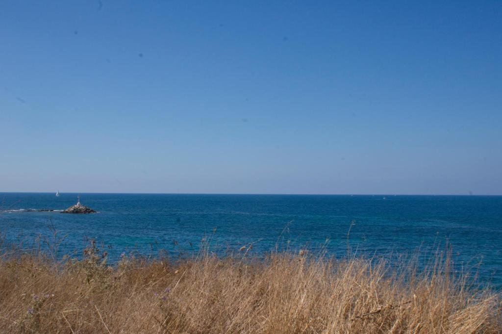 Dionisos Hotel Mytikas  Buitenkant foto